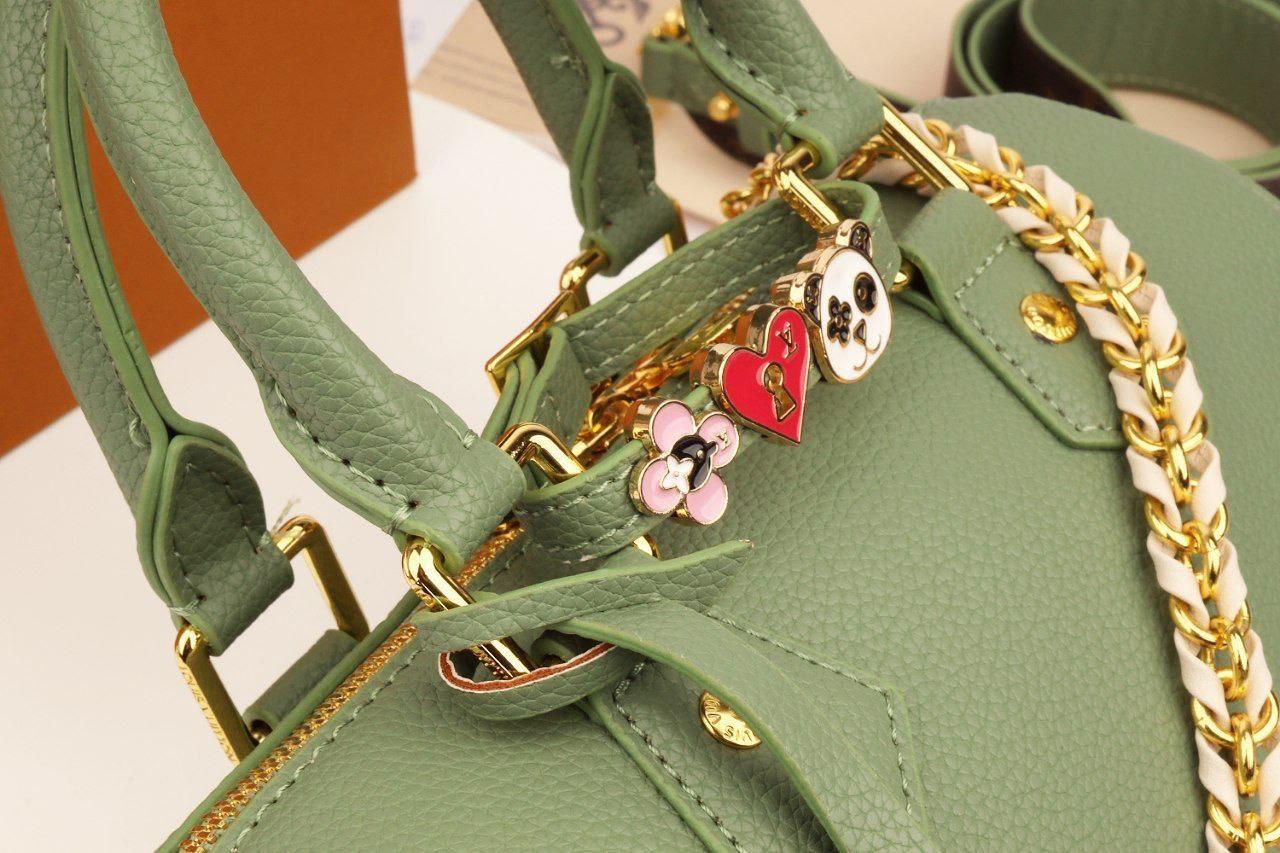 Louis Vuitton Speedy Bandoulière in Leather