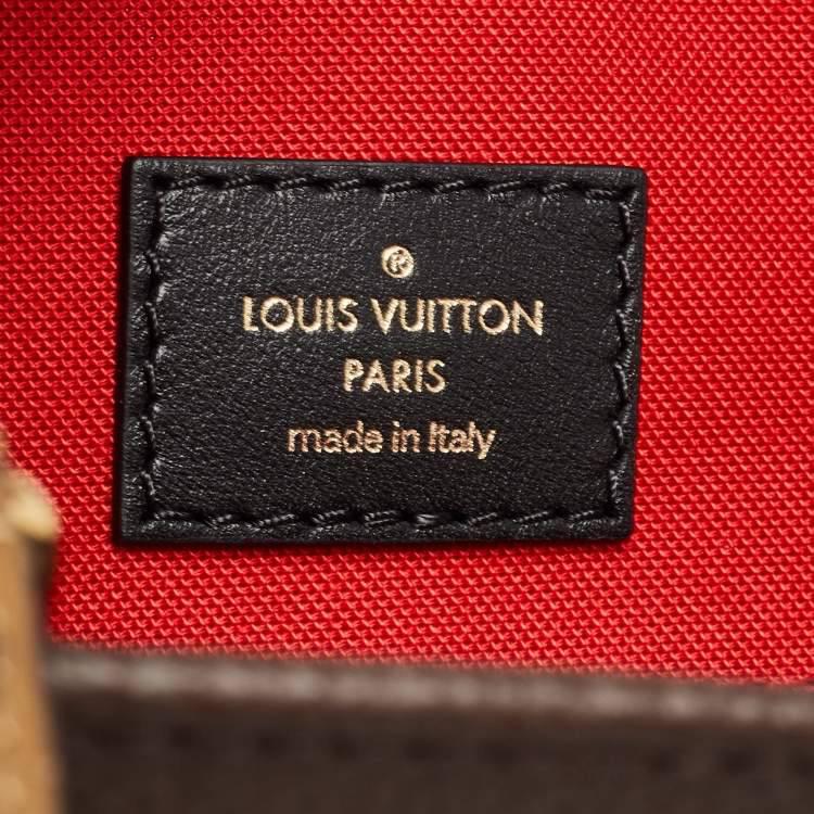 LV Bag