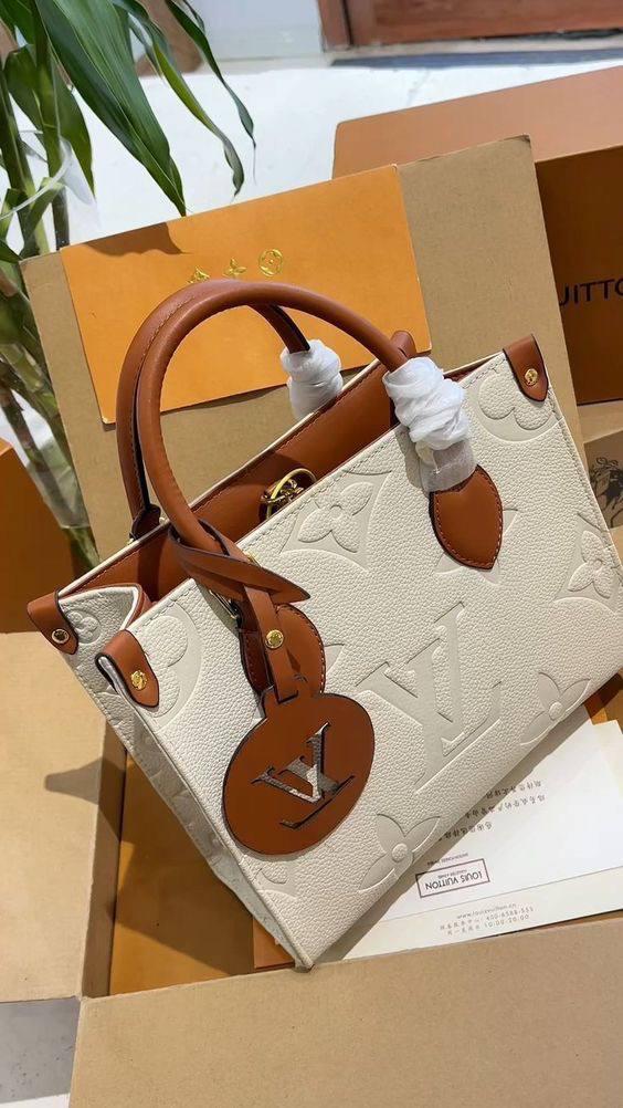 LV Bag