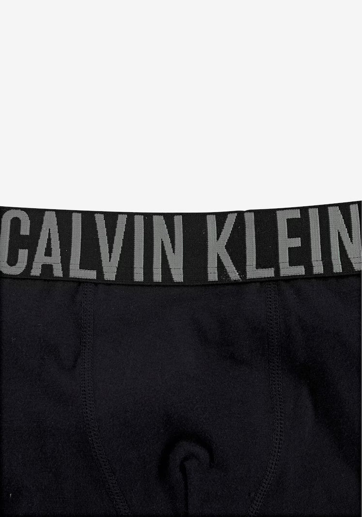 Calvin Klein Underwear Underpants in Black