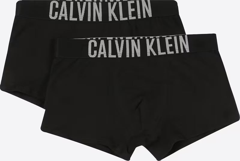 Calvin Klein Underwear Underpants in Black