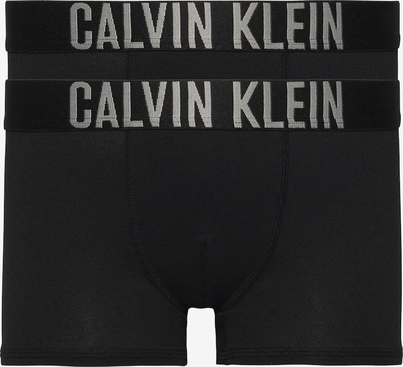 Calvin Klein Underwear Underpants in Black