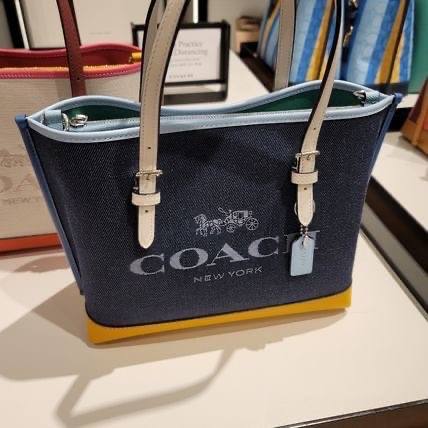 Coach Mollie Tote 25 In Colorblock