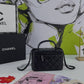 Chanel Lambskin Quilted Small Vanity Case With Chain