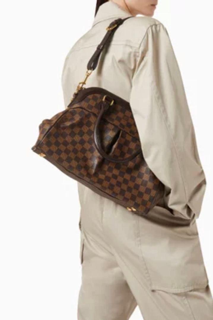 Louis Vuitton Damier Ebene Brea GM or MM