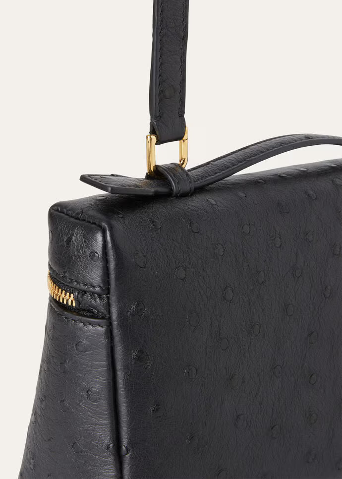 Loro Piana  Ostrich Extra Pocket L19 Pouch