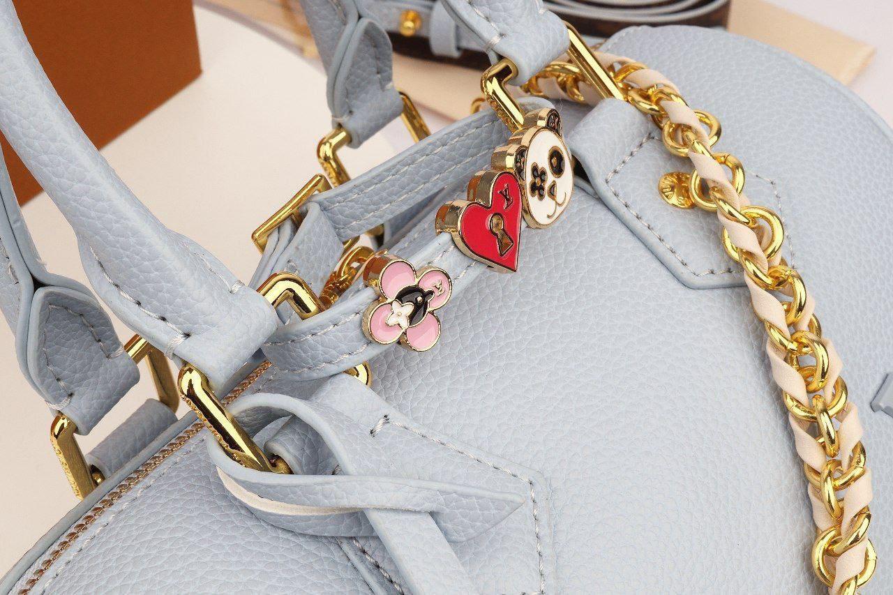 Louis Vuitton Speedy Bandoulière in Leather