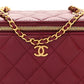 Chanel Lambskin Quilted Small Vanity Case With Chain